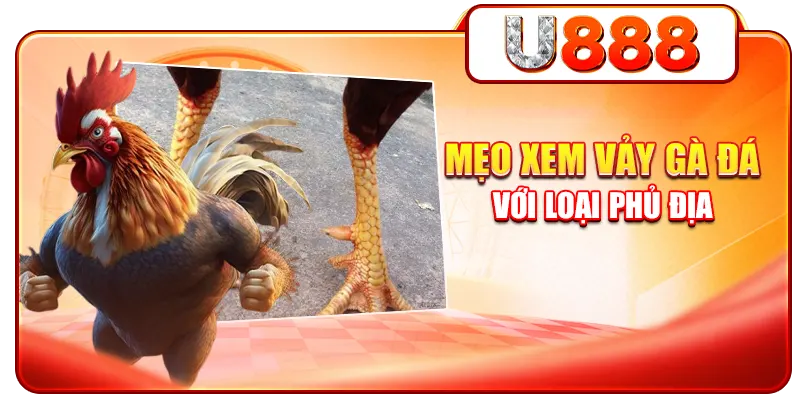 Mẹo xem vảy gà đá với loại phủ địa